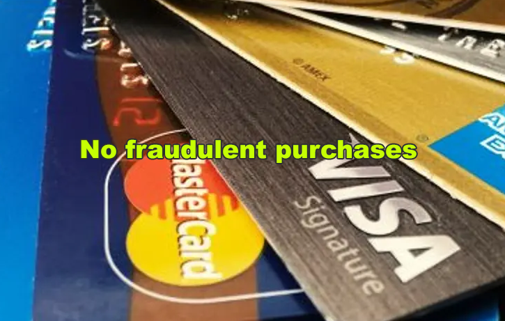 No fraudulent purchases
